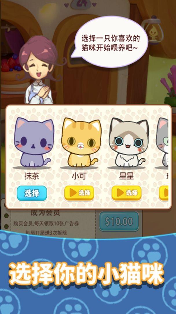 养只大肥猫手游下载,养只大肥猫,猫咪手游,宠物手游