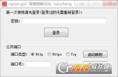 内网穿透利器,ngrok子域名,ngrok和花生壳.